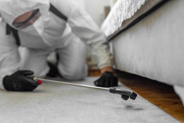 Professional Termite Control technician working in Matawan, NJ