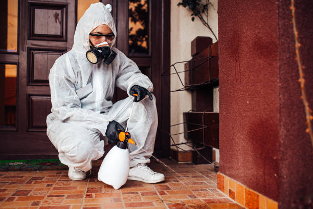 Reliable Termite Control contractor in Matawan, NJ by Nex Pest Control